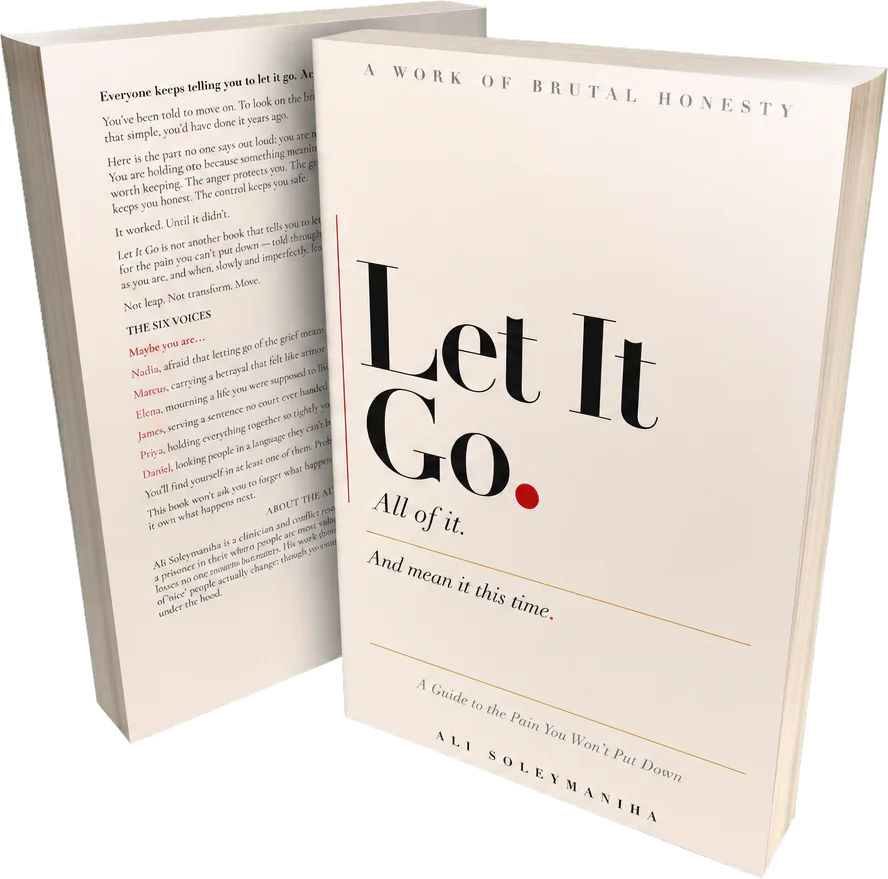 Let It Go by Ali Soleymaniha — front and back cover